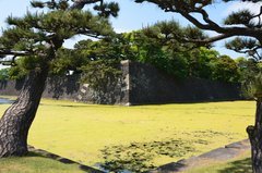 japan0512
