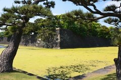japan0512