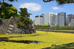 japan0513