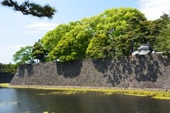 japan0514