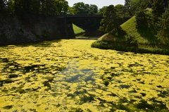 japan0515