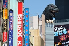 japan0572