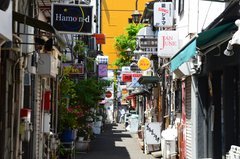 japan0576