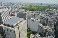 japan0608