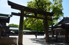 japan0641
