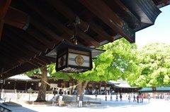 japan0647