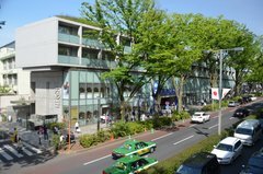 japan0654
