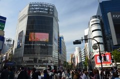 japan0666
