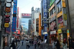 japan0677