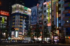 japan0694