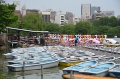 japan0756