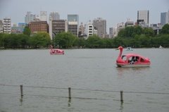 japan0757