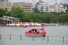 japan0758