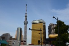 japan0761