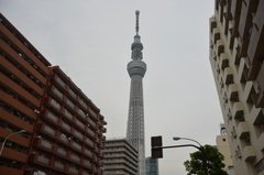 japan0763