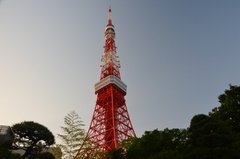 japan0771
