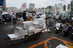 japan0781