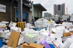 japan0782
