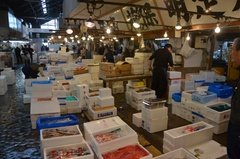 japan0789