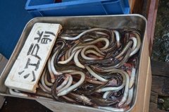 japan0793