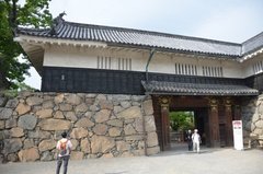 japan1764