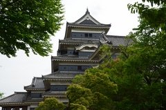 japan1768