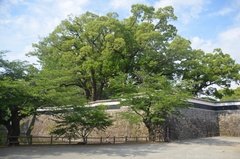 japan7510