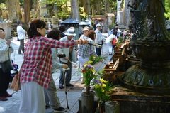 japan8030
