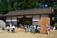 japan8046