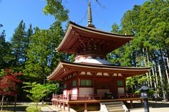japan8050