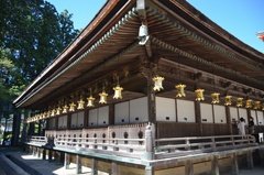 japan8053