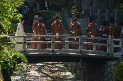 japan8076