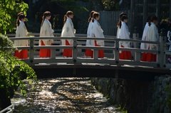 japan8077