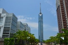 japan8504