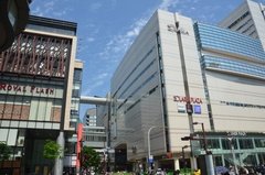 japan8549
