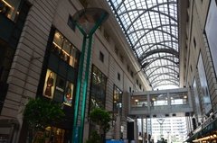 japan8555