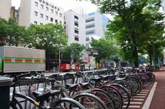 japan8562