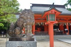 japan8584