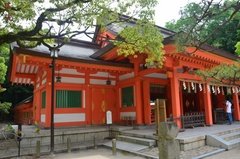 japan8585