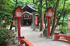 japan8588