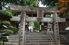 japan8593