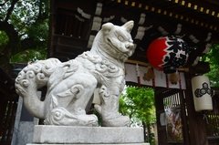 japan8595