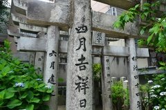 japan8597