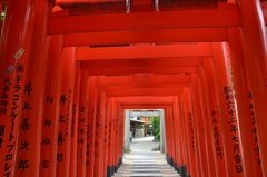 japan8603
