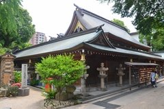japan8606