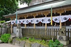 japan8607