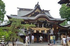 japan8611