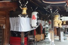 japan8613