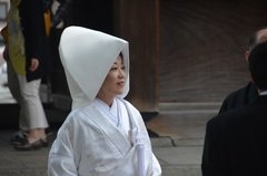 japan8618