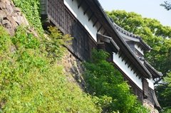 japan8621
